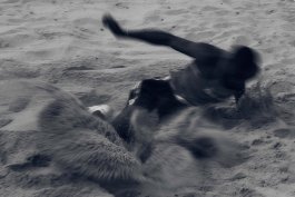 Julien Leite